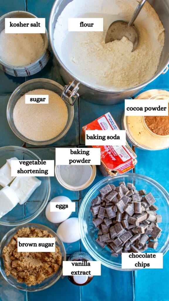 All the ingredients to make cocoa cookies including flour, kosher salt, sugar, cocoa powder, baking soda, baking powder and more. 