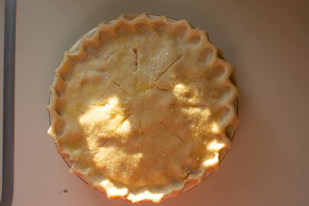 A pie completed with a top crust decorated and brushed with egg wash and sprinkled with sugar sitting on a white counter. 