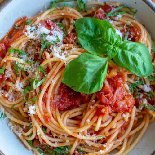 A bowl of spaghetti with marinara sauce and topped with fresh basil.