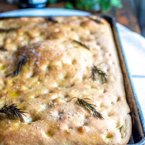 https://katesbestrecipes.com/wp-content/uploads/2022/11/rosemary-fennel-focaccia-recipe-500x500.jpg