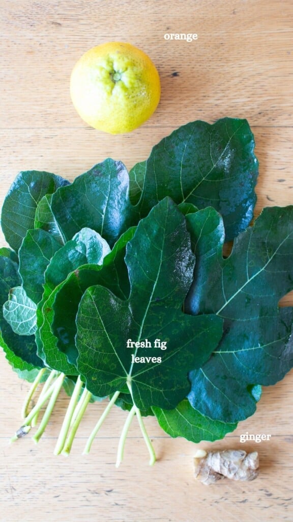 All the ingredients needed to make fig leaf tea including fresh fig leaves, orange, and ginger