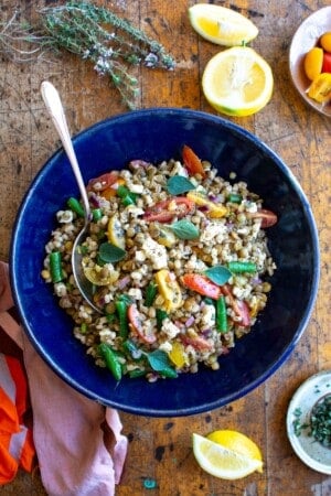 Lentil barley salad in a blue bowl with a spoon in the side of the bowl.