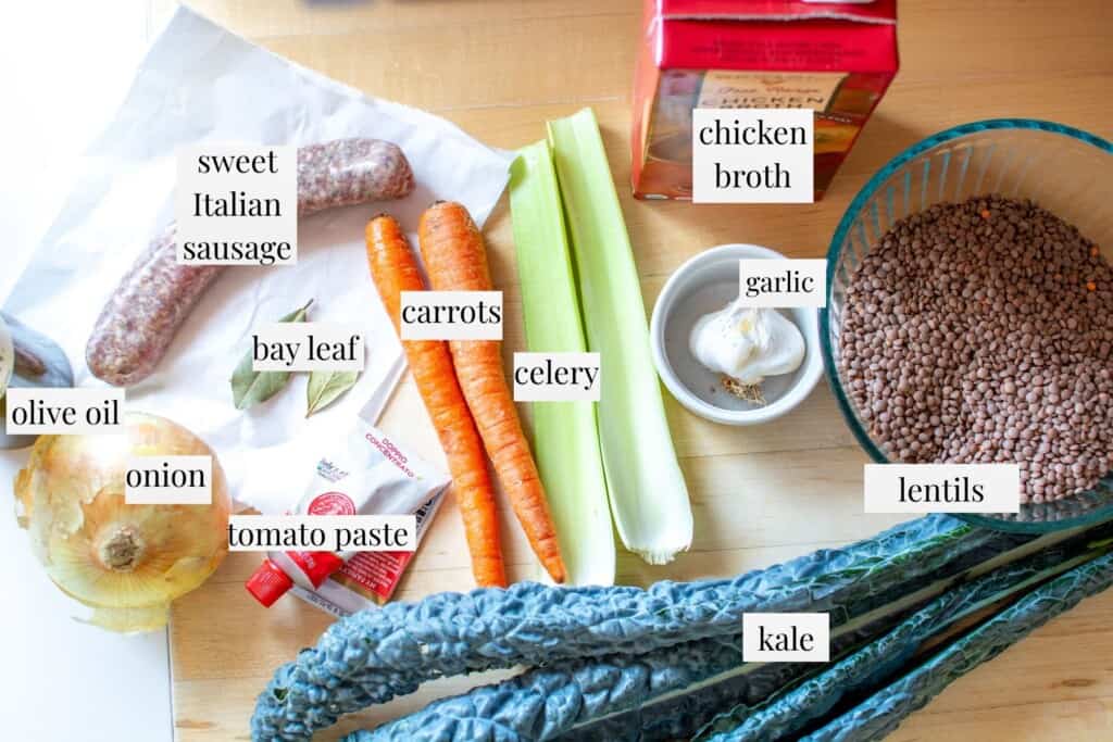 all the ingredients to make Italian lentil soup
